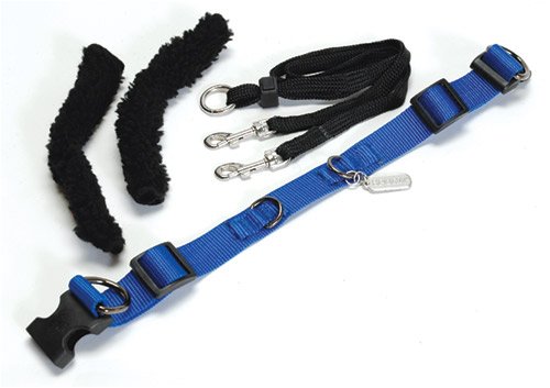 NO PULL HALTER - BLUE LARGE (SIZE: 16
