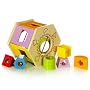 Educo Shake'n Match Shape Sorter