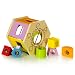 Educo Shake'n Match Shape Sorter
