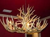 8 Lite Oval Mule Deer Chandelier