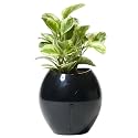 Grobal Self-Watering Flower Pot - Jet Black