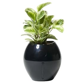 Grobal Self-Watering Flower Pot - Jet Black