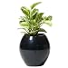 Grobal Self-Watering Flower Pot - Jet Black