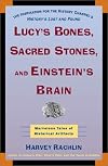 Lucy's Bones, Sacred Stones & Einstein's Brain: The Remarkable Stories Behind the Great Objects and Artifacts of History, from Antiquity to the Modern Era