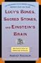 Lucy's Bones, Sacred Stones and Einstein's Brain