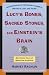 Lucy's Bones, Sacred Stones, And Einstein's Brain