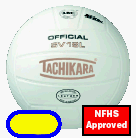 Leather Volleyball (SV18L) From Tachikara