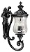 Medium, Intricate Outdoor Wall Lamp W Arm Below