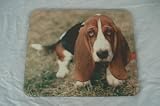 Review The Moneyman basmm1 / Bassett Hound DOG Mouse Mat Pad New K9 Unique Gift