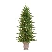 Mixed Needle Deluxe Potted Tree- 4.5'