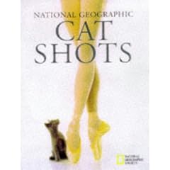 Cat Shots