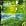 Philip Glass: Aguas Da Amazonia