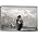 Thumbnail image of David Sylvian
