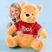 Search : Disney 20'' Winnie the Pooh Plush
