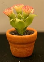 Miniature Artisan Clay Pot with Pink Carnations