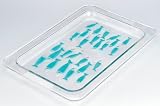 Acrylic Fish Platter