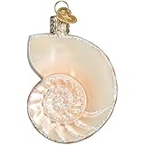 Old World Christmas Nautilus Shell Glass Blown Ornament