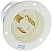 Locking Devices, Twist-Lock, Industrial, Flanged Inlet, 20A 250V, 2-Pole 3-Wire Grounding, L6-20P, Screw Terminal, White