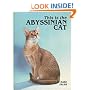 This Is the Abyssinian Cat