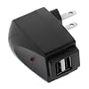 2-Port USB Home Travel Charger for Apple iPhone / iPod (Black)