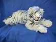 WHITE SIBERIAN TIGER CUB LYING BY HANSA 21" L