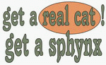 get a real cat! Get a sphynx Decals / Stickers * Pack of 10