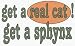   - get a real cat! Get a sphynx Decals / Stickers * Pack of 10