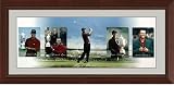 Tiger Woods Photo Collage (Frame=Renaissance Cherry Rope - CH)