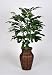 Artificial Sugar Palm in Rattan, Basket Rattan