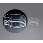 Chip and Dip Fish Shape Bowl Large