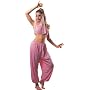 Adult Arabian Dancer Costume, Ladies Standard (Up to Dress size 12)
