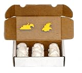 5 Piece Designer Painting Set