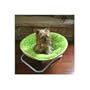 Foldable Fuzzy Pet Bed - Green
