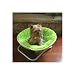 Foldable Fuzzy Pet Bed - Green