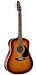 Seagull Coastline S6 Burst GT 6-string Acoustic Guitar