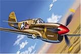 Review Franklin Mint B11B621 / Diecast Model Curtiss P-40N (USAAF Dammit) (1:48 scale)