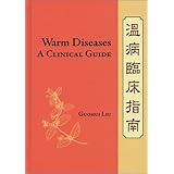 warm diseases a clinical guide