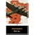 Bombs Away: The Story of a Bomber Team (Penguin Classics)