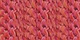 Coral -Yarn Homespun