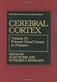 Primary Visual Cortex in Primates (Cerebral Cortex)
