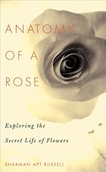 Anatomy of a Rose: Exploring the Secret Life of Flowers
