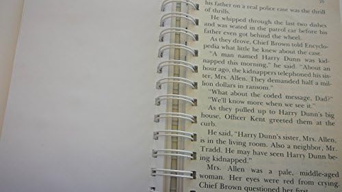 Encyclopedia Brown and the Case of the Disgusting Sneakers book journal