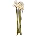 Flower Market Permanent Botanical Light Cream Colored Mini Gerbera Daisies 12 Stems