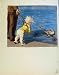 At Waters Edge Ducks And Boats By J Dowd & B Spender