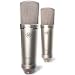 Golden Age Project FC2ST Large Diaphragm Condenser Microphones – Stereo Matched Pair