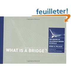 What Is a Bridge?: The Making of Calatrava's Bridge in Seville