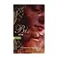 Bis (Biss) zum Abendrot: Bella und Edward 03