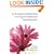 The Therapeutic Relationship in the Cognitive Behavioral Psychotherapies: 1
