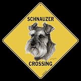 Schnauzer -- Full Color 16