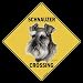   - Schnauzer -- Full Color 16